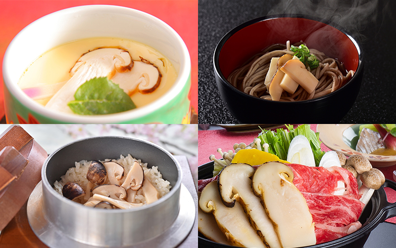 Premium松茸料理◇極味~きわみ~コース