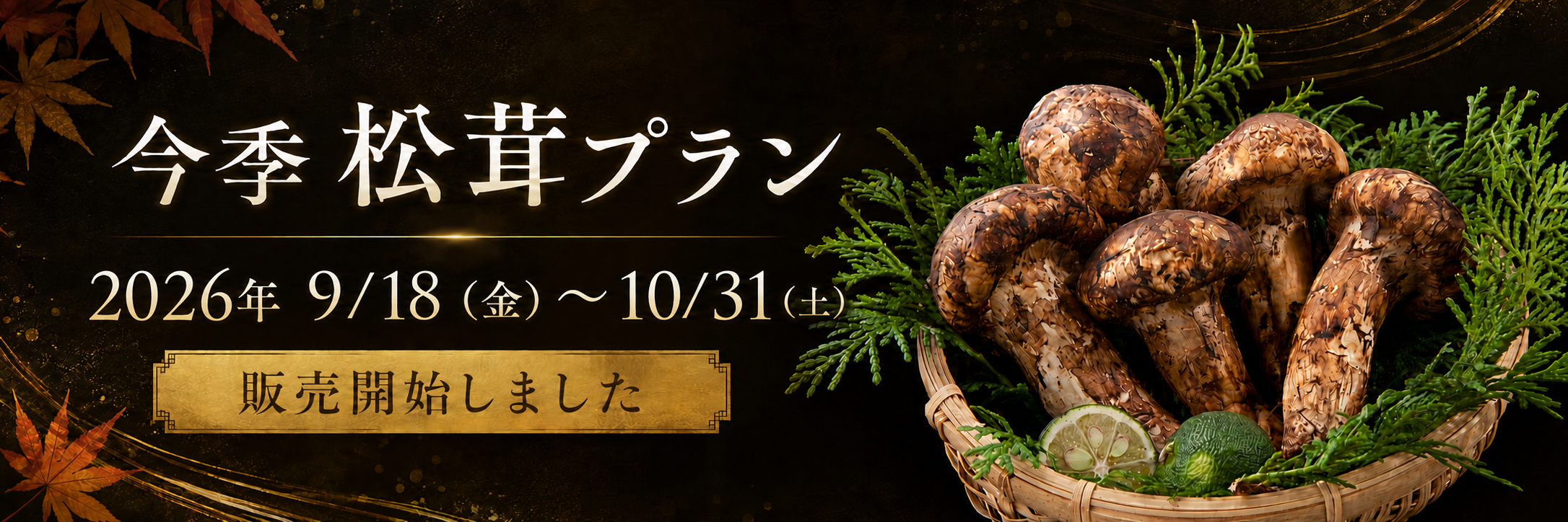 今季 松茸プラン