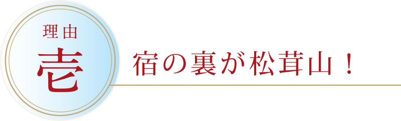 宿の裏が松茸山