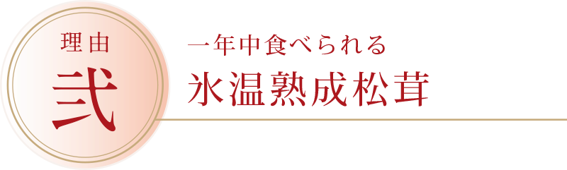 氷温熟成松茸